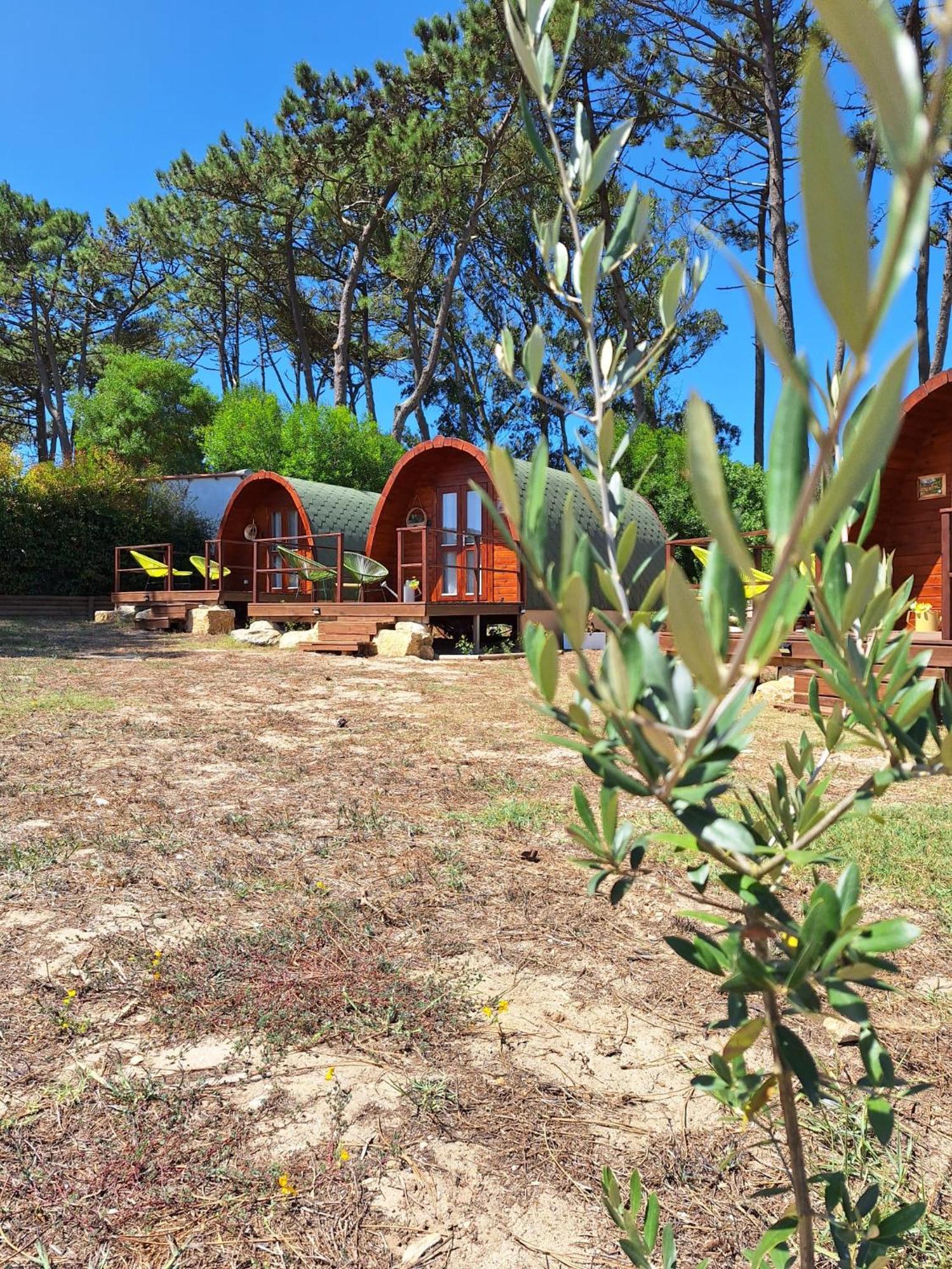 Vila Bastardo Glamping Pod Hotel Sintra Eksteriør billede